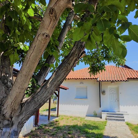 White Clam Vintage House With Sea View & Garden Villa Makrygialos Dış mekan fotoğraf