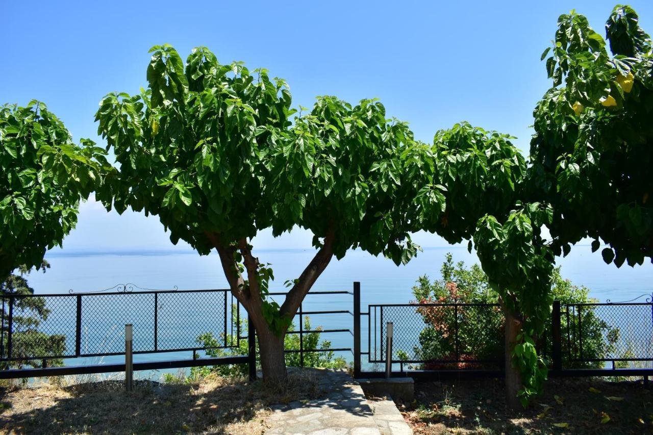 White Clam Vintage House With Sea View & Garden Villa Makrygialos Dış mekan fotoğraf